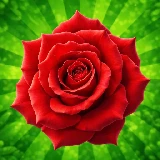 The Flowers: Merge and Sell Bouquets